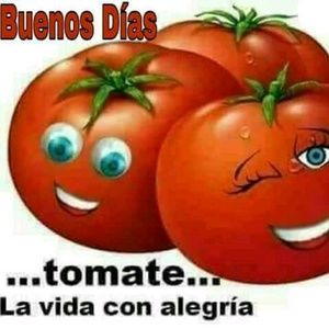 Meet your Posher, Martha